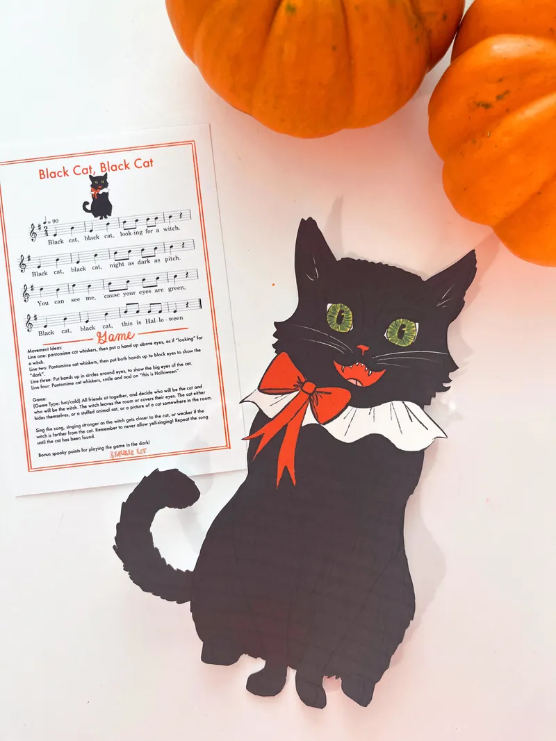 Black Cat Play Set