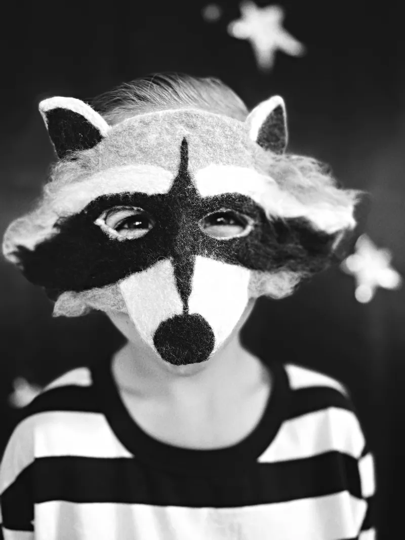 Raccoon Mask